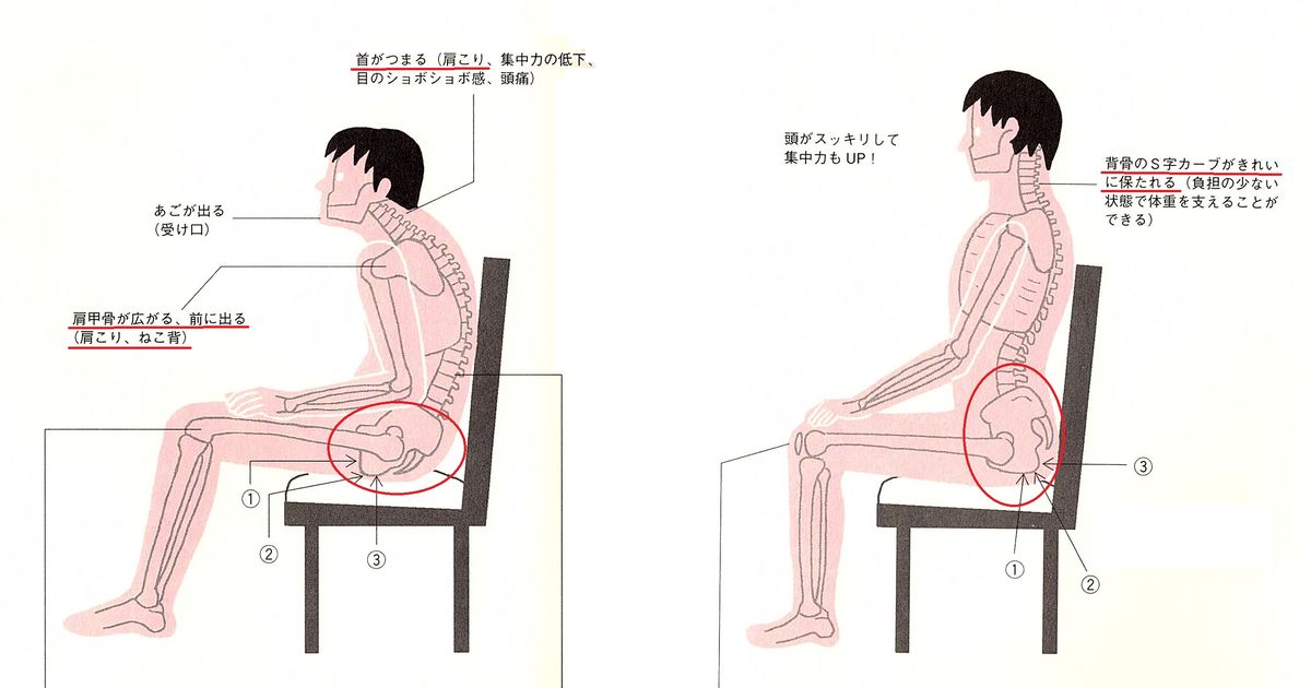 骨盤を立てて座ると