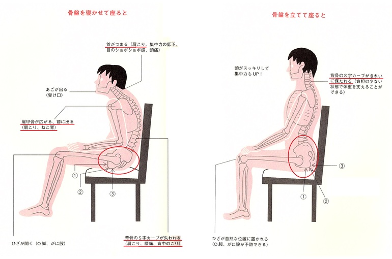 骨盤を立てて座ると